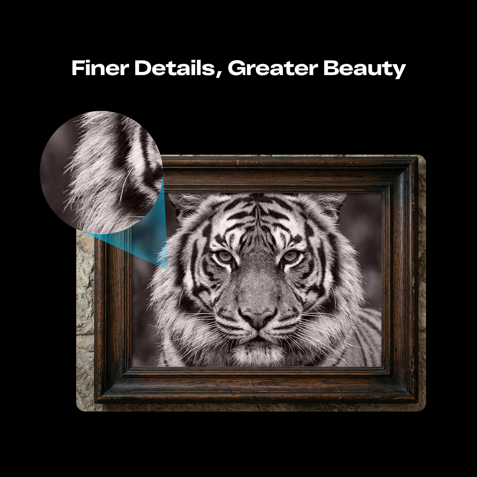 Creality-official-3d-printer-store-falcon-t1-laser-engraver-page-view6.jpg